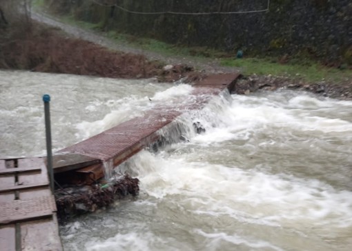 Serve un ponte nuovo per salvare i cani del Parco Dogsville in Valbisagno: la campagna entra nel vivo