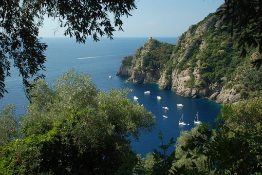 Le opposizioni tornano all’attacco sul Parco di Portofino: “Fate un danno al territorio, è un fallimento”
