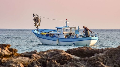 Portofino, 'pesca miracolosa': nelle reti del peschereccio 16 tonnellate di sardine