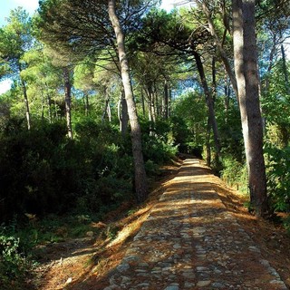 Parco Portofino, Garibaldi (PD): “Solo tre comuni nella proposta della Giunta al Ministero&quot;