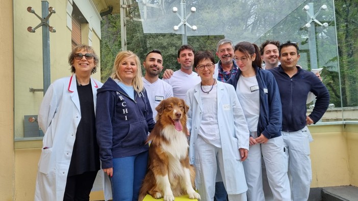 In corsia al Villa Scassi arriva Freccia: inizia il percorso di pet therapy per i pazienti psichiatrici