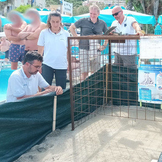 Il sopralluogo al nido di Laigueglia