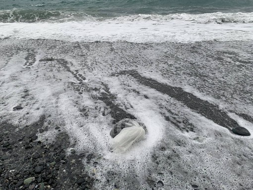 Vesima: i sacchi di plastica segnaposto finiscono in mare (VIDEO)