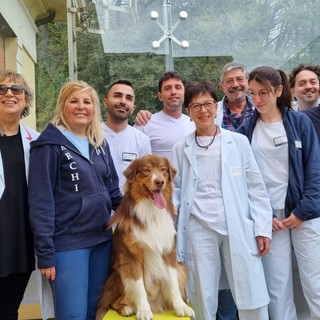 In corsia al Villa Scassi arriva Freccia: inizia il percorso di pet therapy per i pazienti psichiatrici