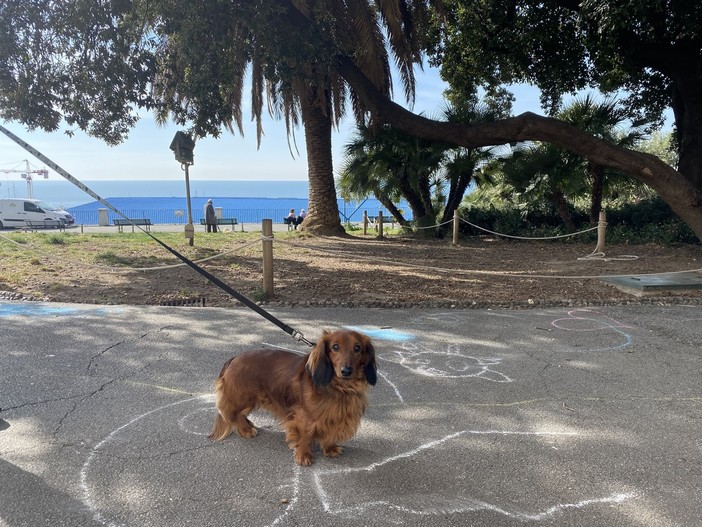 Giro di vite di Tursi sui padroni di cani, lettera aperta dei cittadini al Sindaco