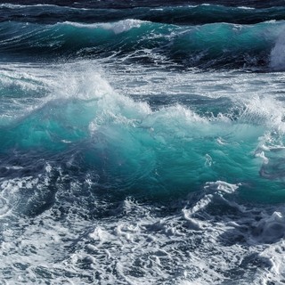 Vento forte sulla Liguria, raffiche fino a 100 chilometri orari: scatta l’avviso di Arpal