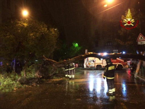 Maltempo: rimosso un grosso albero dai Vigili del fuoco in Spianata Castelletto [FOTO]