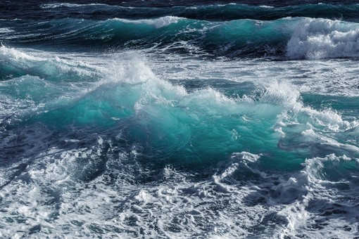 Vento forte sulla Liguria, raffiche fino a 100 chilometri orari: scatta l’avviso di Arpal