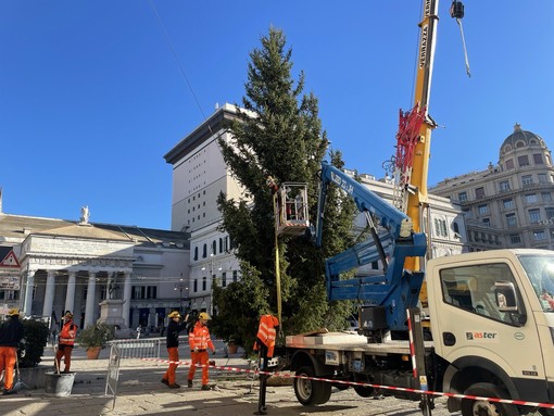 La festa: domani l’accensione dell’albero di piazza De Ferrari