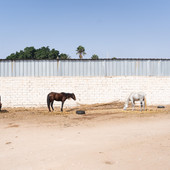 Santa Margherita, alla Galleria Cella i reportage fotografici di Diego Arbore