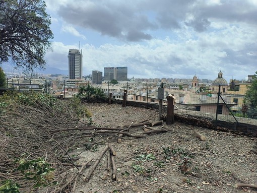 Verde cittadino, Lodi: &quot;Una componente fondamentale per il benessere dei cittadini e dell’ambiente che il Comune non ha a cuore&quot;