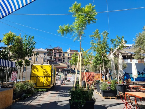 Centro Storico, 100 nuovi alberi ai Giardini Luzzati