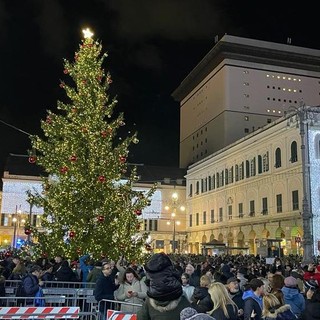 L'albero del 2023