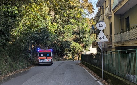 Albero pericolante colpisce un'ambulanza della Croce Rosa Rivarolese