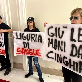 Animalisti fanno irruzione in Regione: “Protestiamo per opporci al biocidio dei cinghiali”