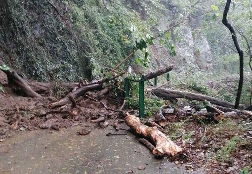 La frana in via delle Fabbriche (Foto: Facebook)