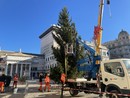 L'albero di Natale arrivato a De Ferrari, accensione l'8 dicembre