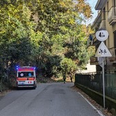 Albero pericolante colpisce un'ambulanza della Croce Rosa Rivarolese