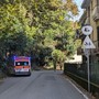 Albero pericolante colpisce un'ambulanza della Croce Rosa Rivarolese