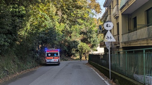 Albero pericolante colpisce un'ambulanza della Croce Rosa Rivarolese