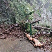 La frana in via delle Fabbriche (Foto: Facebook)