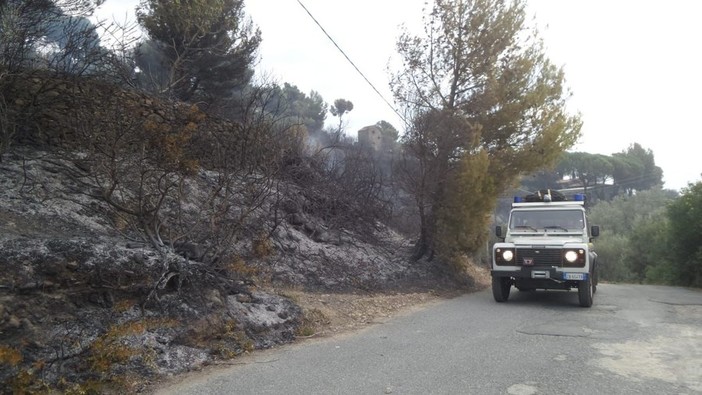 Alassio, notte di bonifica per l'incendio sulla collina tra Cavia e Santa Croce (FOTO e VIDEO)