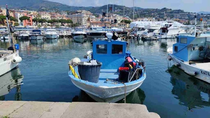 Arriva la &quot;laurea&quot; in pesca green: dal mare ai banchi di scuola