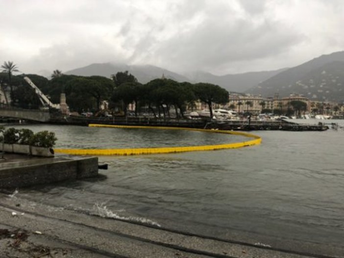 Rapallo, macchia oleosa alla foce del Boate, il Comune: &quot;Per il momento nessun divieto di balneazione&quot;