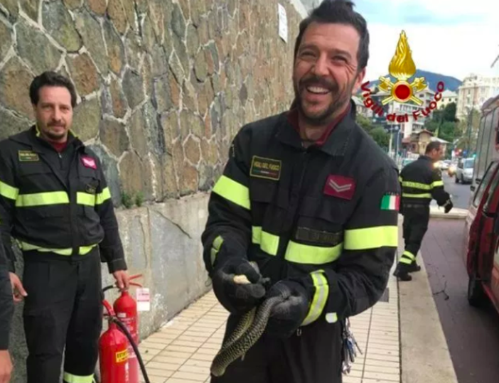 L'insolita passeggiata in Corso Italia di...una biscia