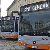 Allerta caldo, la proposta di anticipare la gratuità dei bus per over 70 è ferma al palo. Palummeri: “Speriamo non arrivi una risposta alla fine dell’estate”