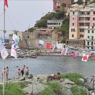 Vernazzola, i cinghiali arrivano sulla scogliera e passeggiano tra i bagnanti