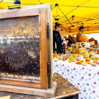 La tradizione incontra la biodiversità a Savignone: al via la ventunesima sagra del Miele di Châtillon