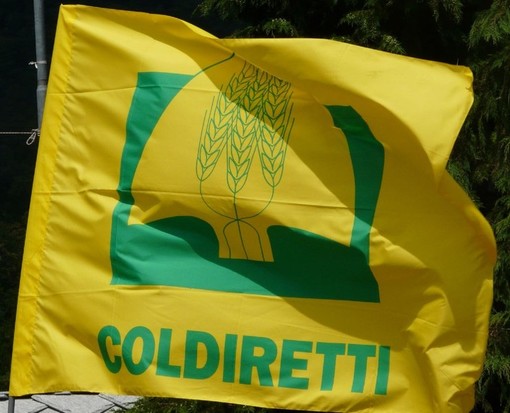 Coldiretti: &quot;Il Pil cala solo per la pesca e agricoltura&quot;