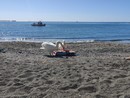 Coppia di cigni in spiaggia tra i bagnanti tra Pegli e Arenzano