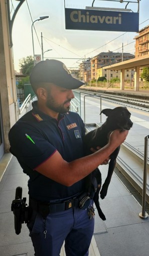 Chiavari, cagnolino si allontana dai padroni: ritrovato dalla Polfer in stazione