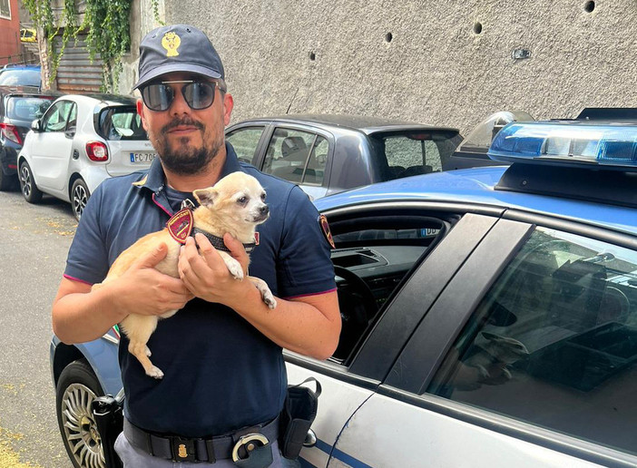 Mojito, il cagnolino coraggioso che ha messo in fuga i ladri