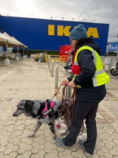 Cani da ricerca, a Genova il corso organizzato da Ivan Schmidt Academy