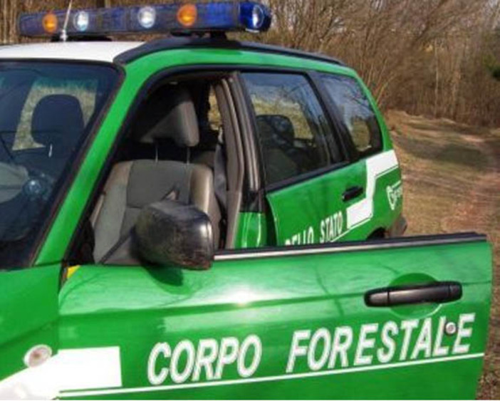 Contratto nazionale forestali: insediato oggi in Uncem il tavolo con sindacati e Mipaaf