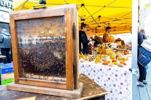 La tradizione incontra la biodiversità a Savignone: al via la ventunesima sagra del Miele di Châtillon