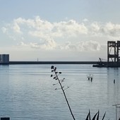 Nuovi riempimenti a Pra’, l’assessore Maresca assicura: “Nessuna nuova espansione del porto”