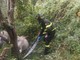 Cavallo cade in una scarpata, salvato dai Vigili del Fuoco