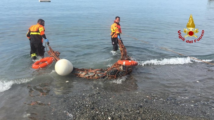 Delfino spiaggiato a Piaruggia recuperato dai vigili del fuoco