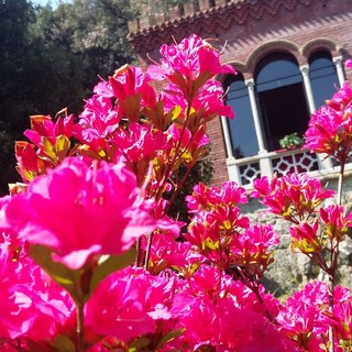 La nuova primavera del Parco Villa di Galliera: feste e cortei storici dopo il restauro