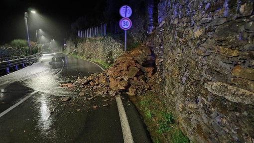 Maltempo, allagamenti, alberi caduti e smottamenti: notte di lavoro per i vigili del fuoco