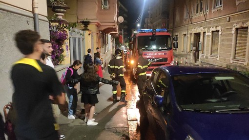 Gattino resta incastrato in un’auto, tutto il vicinato si mobilita per salvarlo