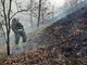 Prevenzione incendi, in tutta la Liguria via da sabato allo stato di 'grave pericolosità'