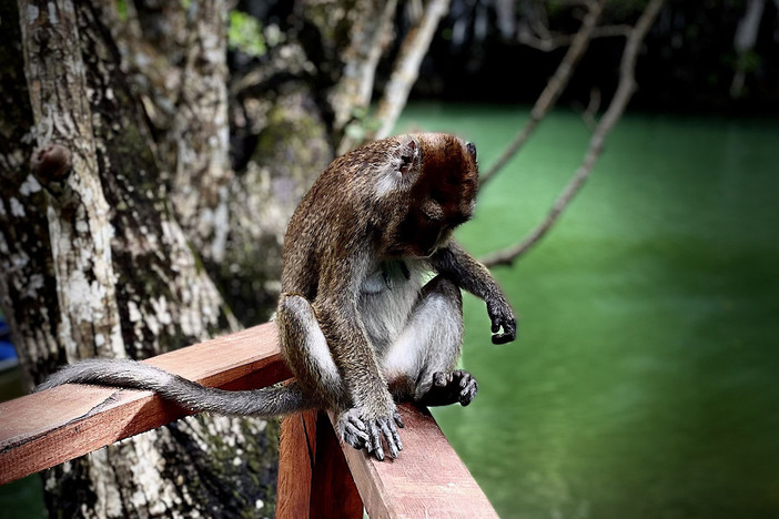 Palawan: dalla Casa di Carta alla Big Lagoon