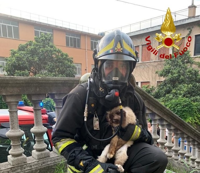 Incendio alla canonica dell'oratorio, le immagini dei vigili del fuoco: salvato un gatto