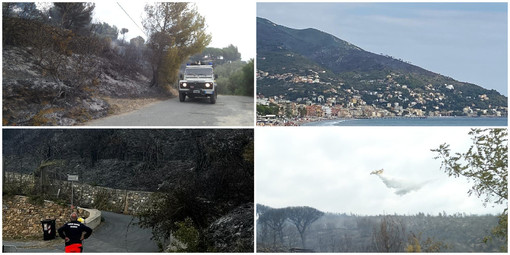 Alassio, domato l'incendio sulla collina tra Cavia e Santa Croce: avviate le fasi di bonifica (FOTO e VIDEO)