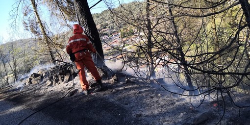 Le fiamme da Levante a Ponente non si placano: dopo Cogoleto, incendio a Stellanello